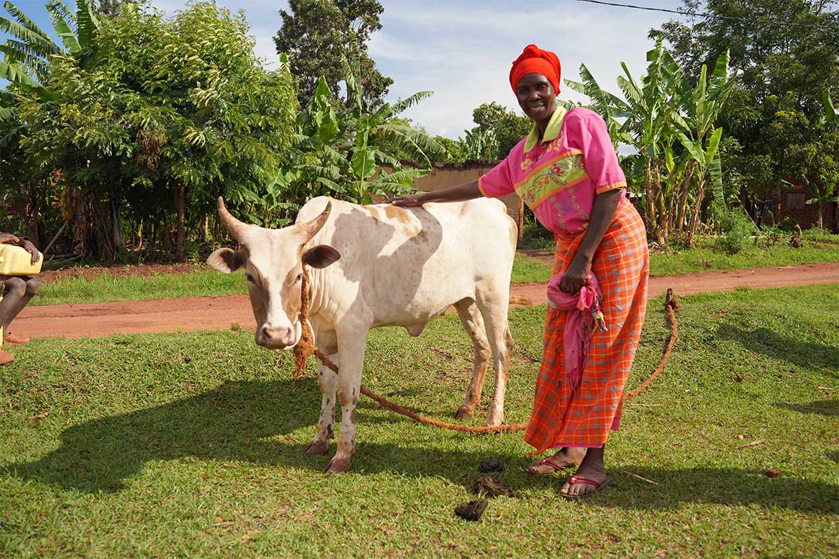 Frau mit Kuh nahe Jinja, Uganda